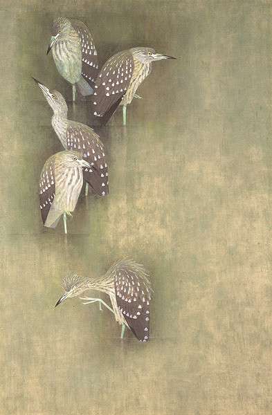 上村松篁展 | 京都で遊ぼうART ~京都地域の美術館、展覧会 上村松篁展 | 京都で遊ぼうART ~京都地域の美術館、展覧会