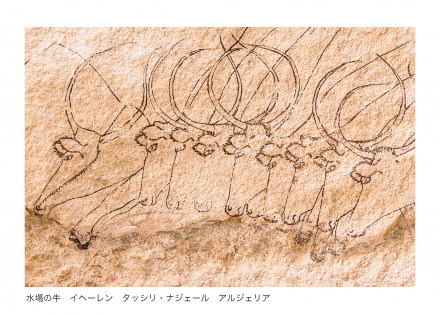 サハラ、砂漠の画廊: タッシリ・ナジェール古代岩壁画 サハラ、砂漠の画廊 タッシリ・ナジェール古代岩壁画(野町和嘉
