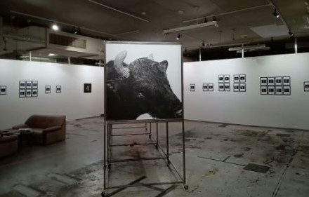 桑嶋維《朱殷：日本に在る色 / Shuan The Color of Japan》 京都で遊ぼうART ～京都地域の美術館、展覧会