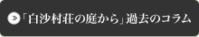「白沙村荘の庭から」過去のコラム