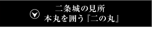 二条城の見所 城の中心『本丸』