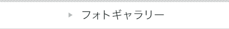 フォトギャラリー