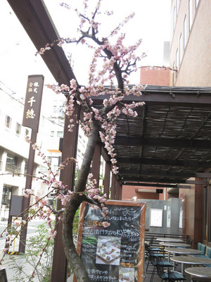 oharu201303-8.jpg