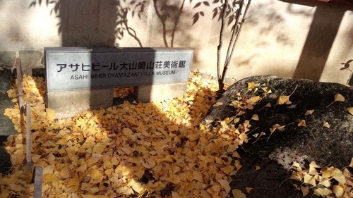 moriyasu201312-5(1).jpg