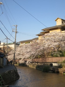 oharu201404-6(2).jpg