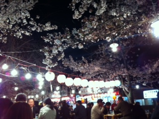 sakura2011-4.jpg