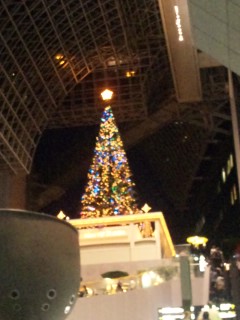 akasaka201112-18.jpg