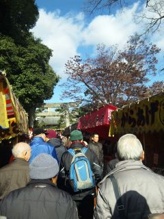 akasaka201112-37.jpg