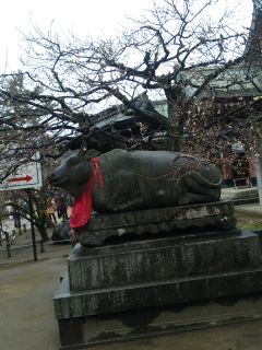 akasaka2012-2-36.jpg