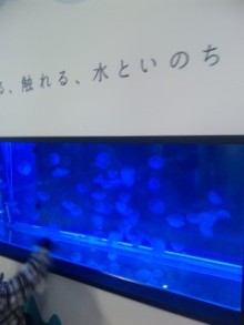 akasaka2012-3-19.jpg