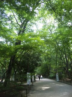 akasaka201205-55.jpg