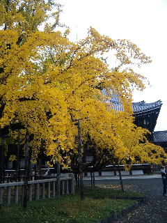 akasaka201211-3.jpg