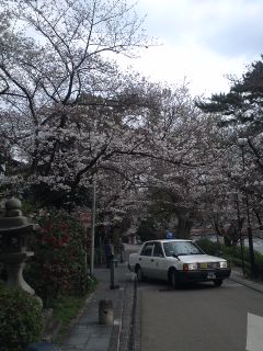 akasaka201303-7.jpg