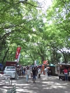 akasaka201307-1.jpg