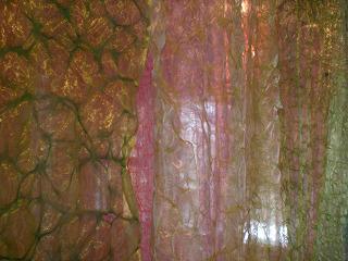 nakasato201307-4(3).jpg