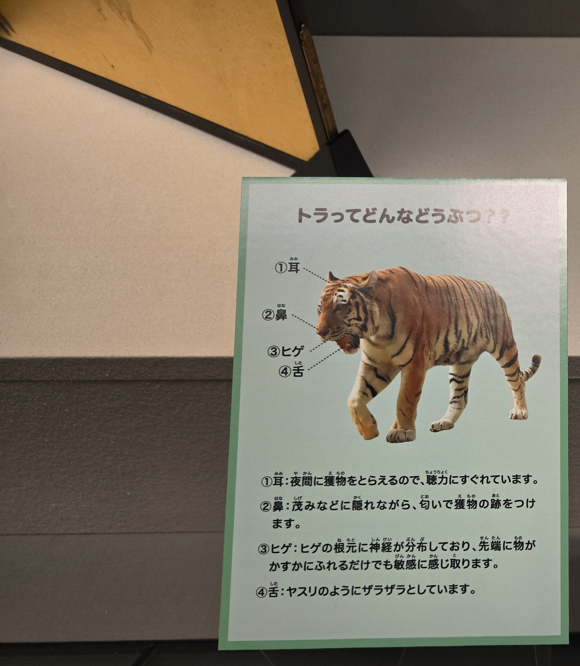 中国美術品 山水宣紙巻物画 掛画 仏像達磨双虎福図 達磨伏虎現代工芸品美術品置物 中国美術品 山水宣紙巻物画 掛画 仏像達磨双虎福図 達磨伏虎現代工芸品