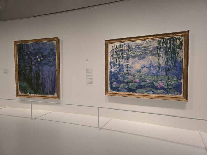 monet2025-repo_4.jpg