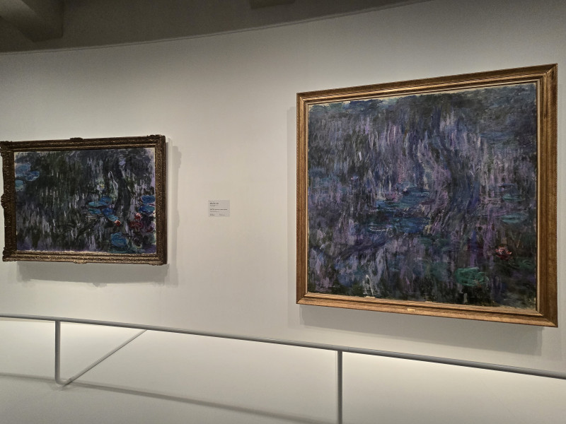 monet2025-repo_5.jpg