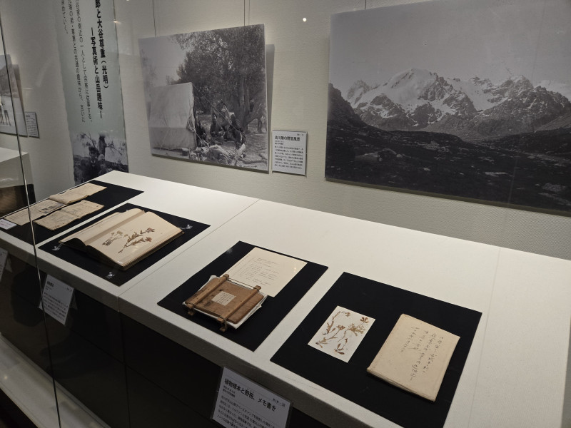 yoshikawa-otani_repo(9).jpg